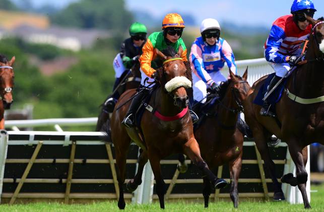 Newton Abbot Races, Newton Abbot, UK - 25 June 2024 Shinji ridden by Mr ...