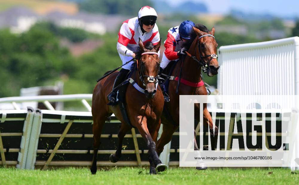 Newton Abbot Races, Newton Abbot, UK - 25 June 2024 What An Icon ridden ...