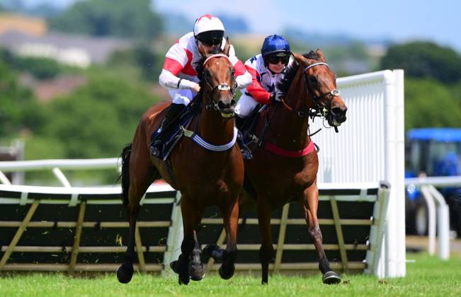 Newtown Races England Newton Abbot Races, Newton Abbot, UK - 25 June 2024 What An Icon ridden ...