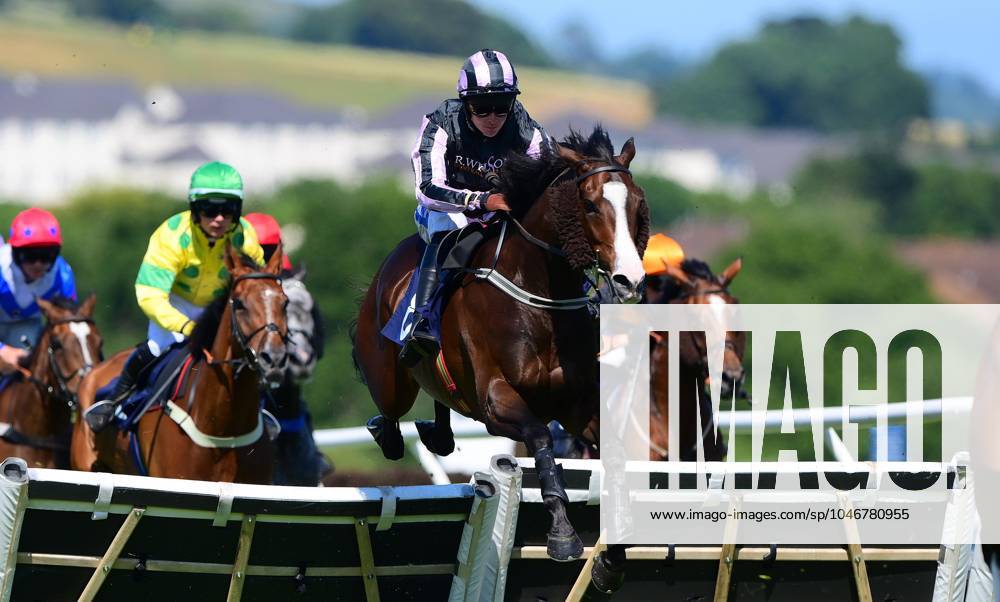 Newtown Races England Newton Abbot Races, Newton Abbot, UK - 25 June 2024 No More Bolero ...