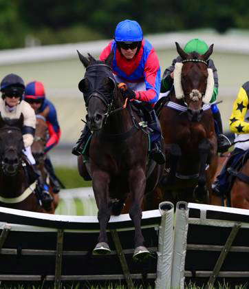 Newtown Races England Newton Abbot Races, Newton Abbot, UK - 21 July 2024 Captain Bill ridden ...