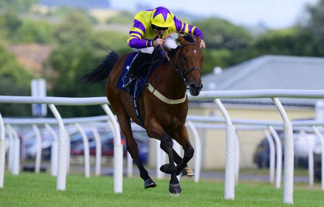 Newtown Races England Newton Abbot Races, Newton Abbot, UK - 22 Aug 2023 Race Winner, Stepney ...