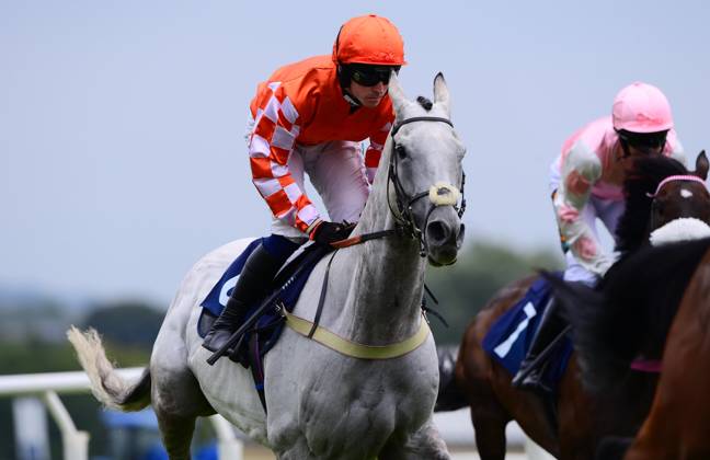 Newtown Races England Newton Abbot Races, Newton Abbot, UK - 31 Aug 2024 Hell Red ridden by ...