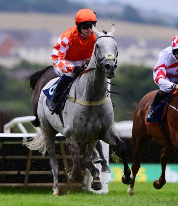 Newtown Races England Newton Abbot Races, Newton Abbot, UK - 31 Aug 2024 Hell Red ridden by ...