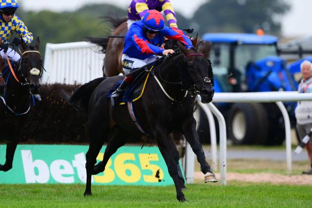 Newtown Races England Newton Abbot Races, Newton Abbot, UK - 22 Aug 2023 Bagheera Ginge ...
