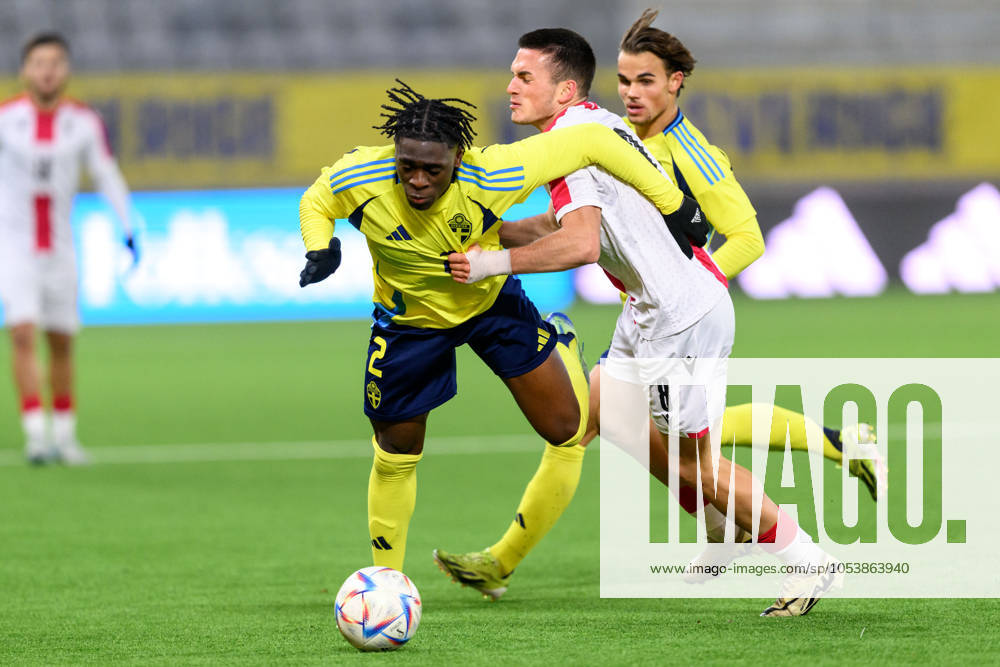 William Rashidi William Rashidi of Sweden and Tsotne Berelidze of Georgia during the ...