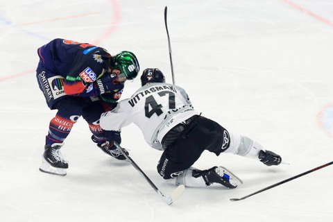 Ice Hockey, DEL, Playoffs, Eisbären Berlin - Kölner Haie