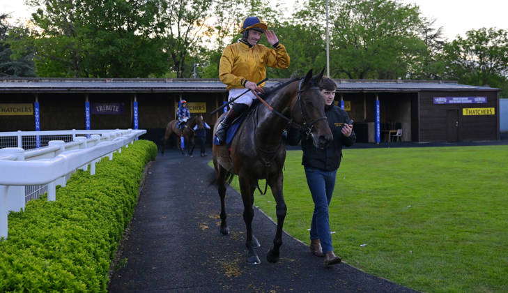 Newtown Races England Newton Abbot Races, Newton Abbot, UK - 20 May 2024 - Race 1 - 2:13 ...
