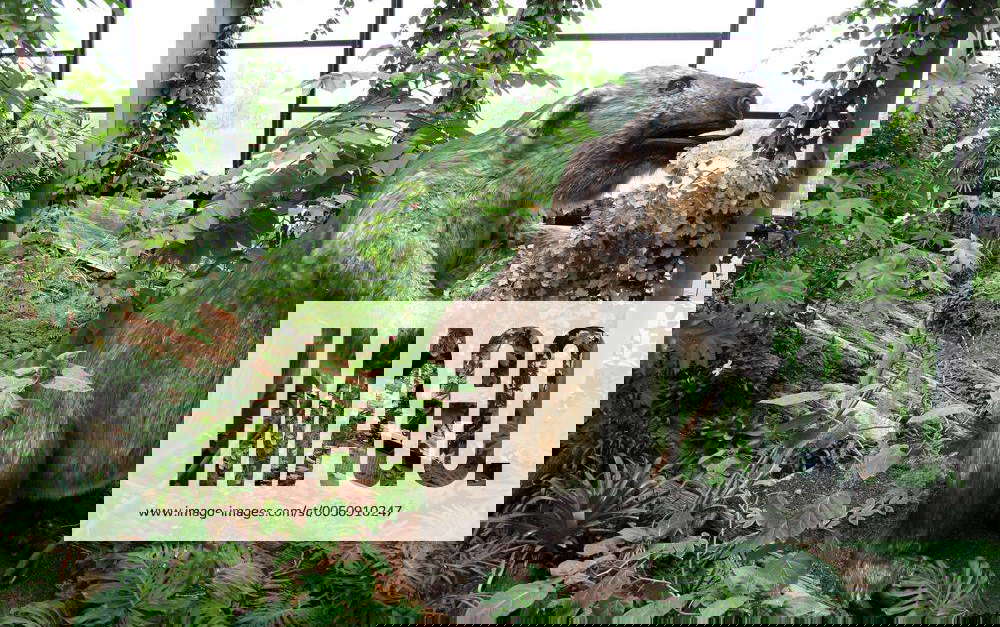 Figur des Megatheriums Ausstellung GIGANTOPIA DIE ERBEN DER SAURIER