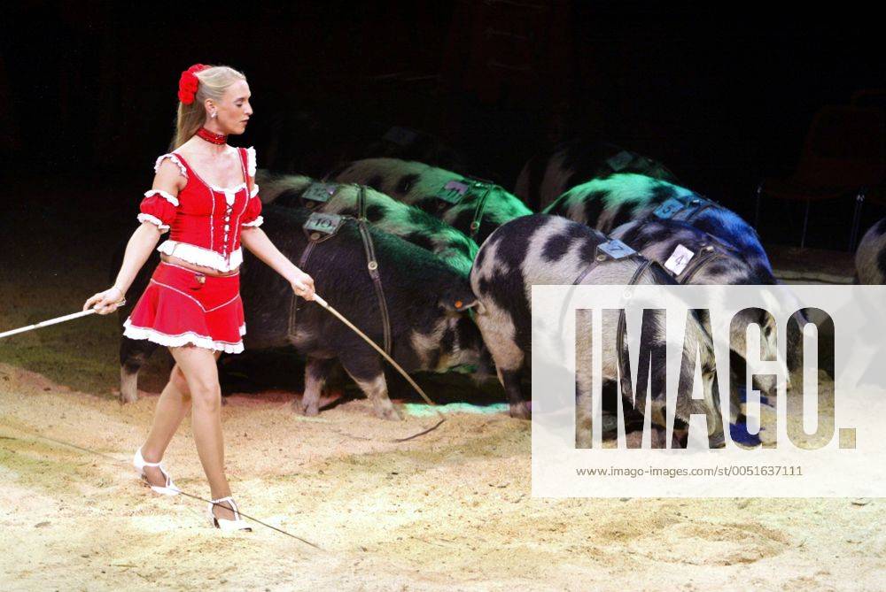 Artistin mit Schweinen im Zirkus Fliegenpilz in