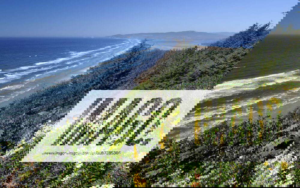 Netarts Bay im Cape Lookout State Park in Oregon USA