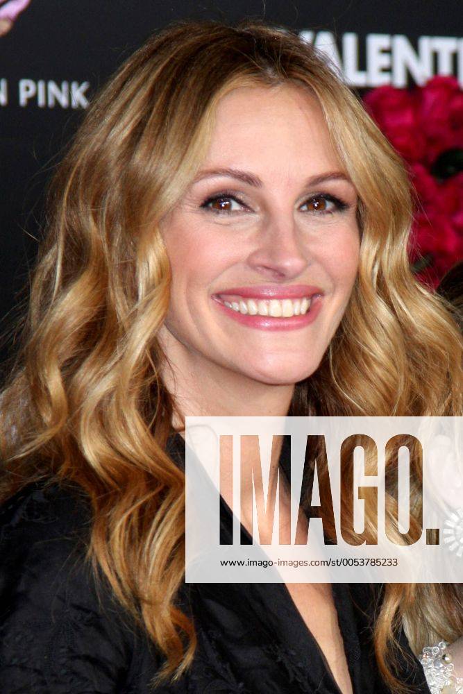 valentines day imdb julia roberts