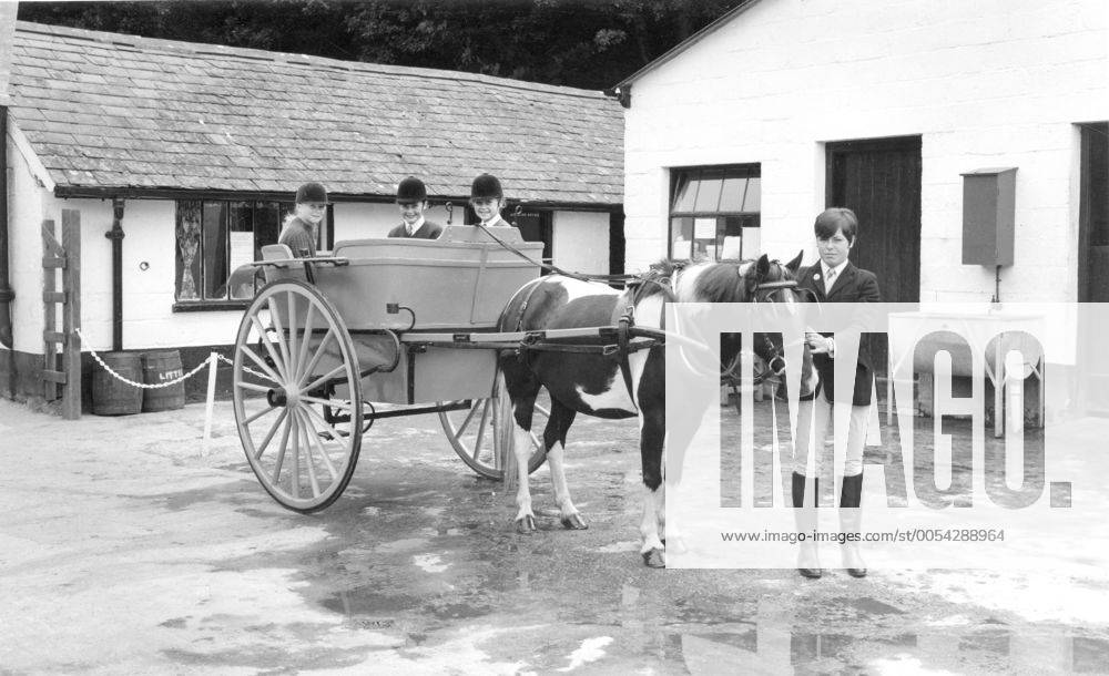 Llanbedr, Dolmygliw Riding School c