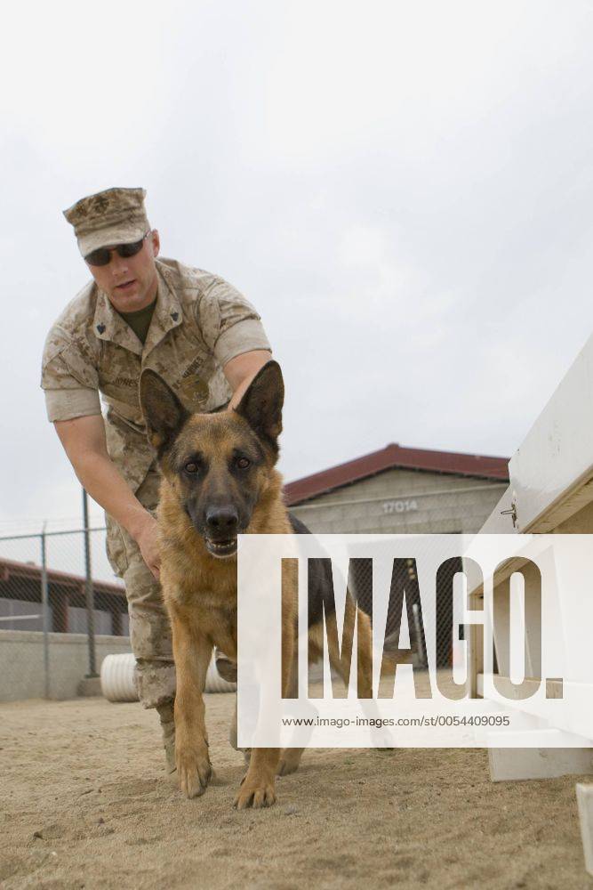 Sep. 05, 2010 - San Diego, California, USA - The K-9 Military Working ...