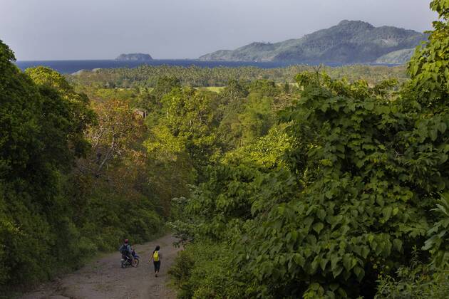 TROPICAL JUNGLE and the PACIFIC OCEAN in the far north of PALAWAN ...