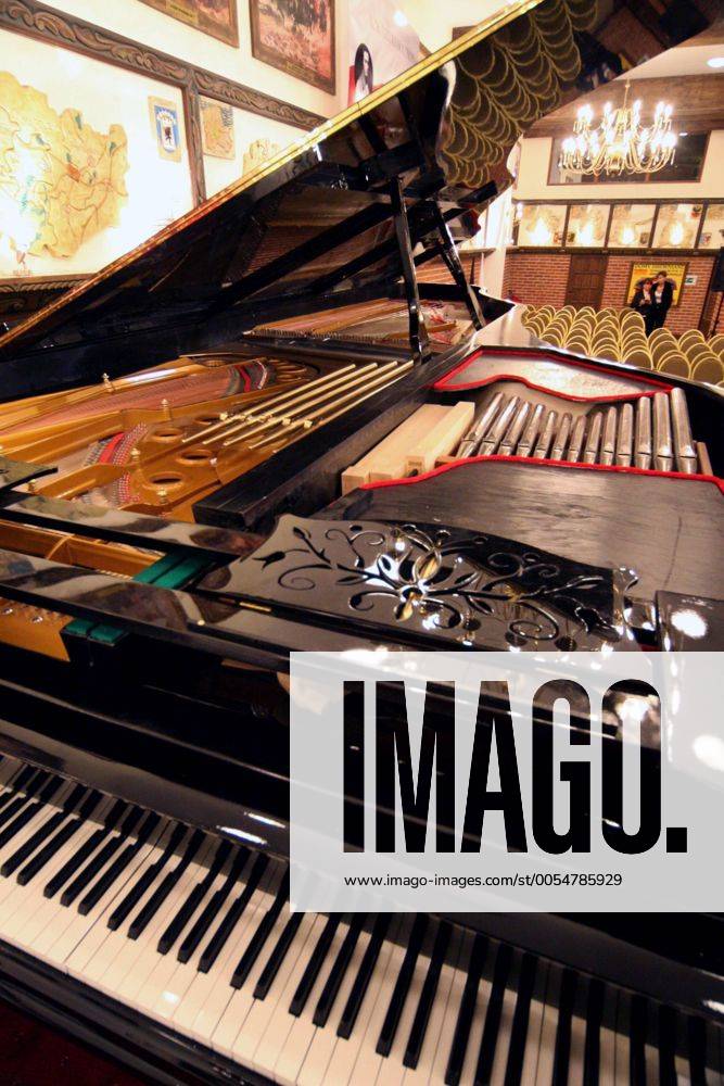 The world s biggest piano is 6,07 metres long, 2,495 m wide and 1,925 m