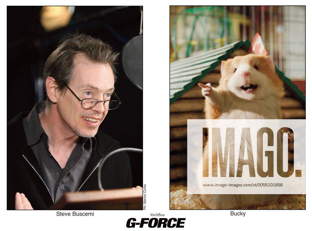 2009 G Force Movie Set PICTURED STEVE BUSCEMI as Bucky Voice