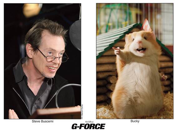 2009 G Force Movie Set PICTURED STEVE BUSCEMI as Bucky Voice