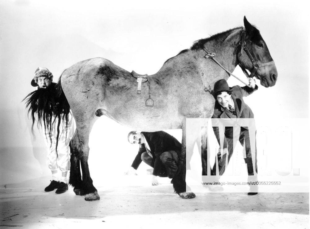 1937 - A Day at the Races - Movie Set PICTURED: GROUCHO MARX as Dr ...