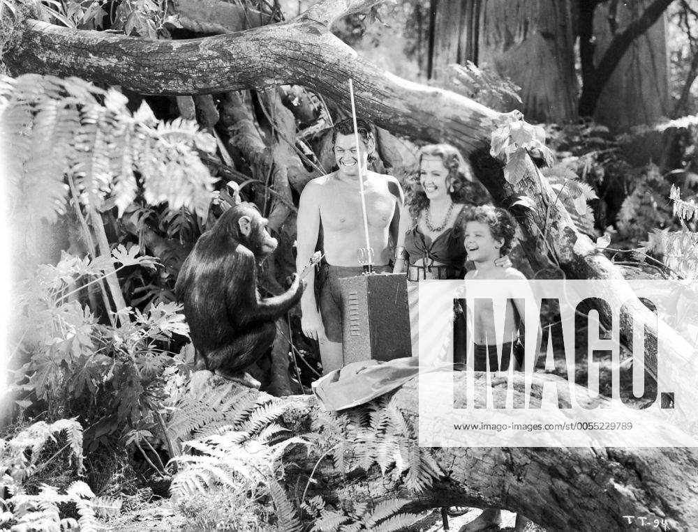 1943 - Tarzan Triumphs - Movie Set PICTURED: JOHNNY WEISSMULLER ...