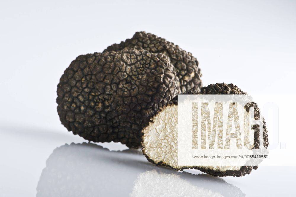 Schwarze Trüffel, Sommertrüffel, Tuber aestivum