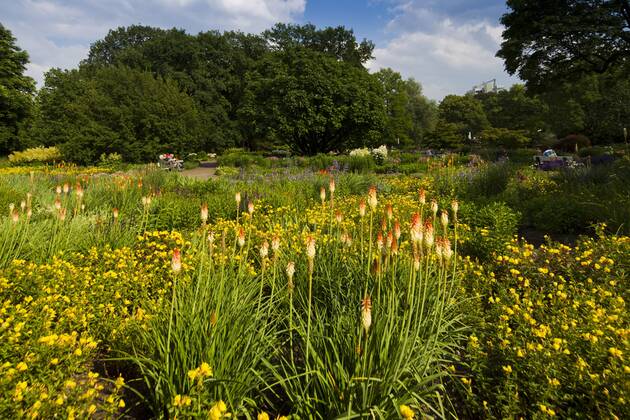 Hamburger Park Planten und Blomen Hamburg, Hamburger, Deutschland ...