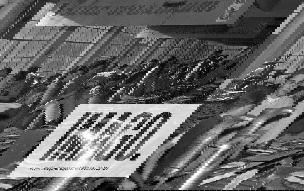 Czechoslovakia Gottwaldov 1950. Shoe factory workers employed by Svit