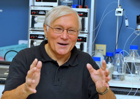 Professor Viktor Brabec from the Biophysical Institute of the Science ...