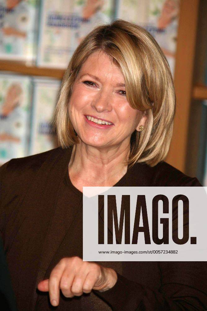 Martha Stewart Patterson 10 x … curated on LTK