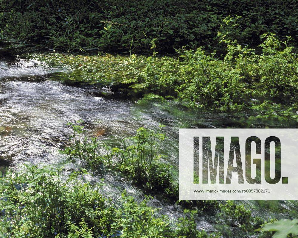 Bachlandschaft in Plaue, Geratal, Vorland des