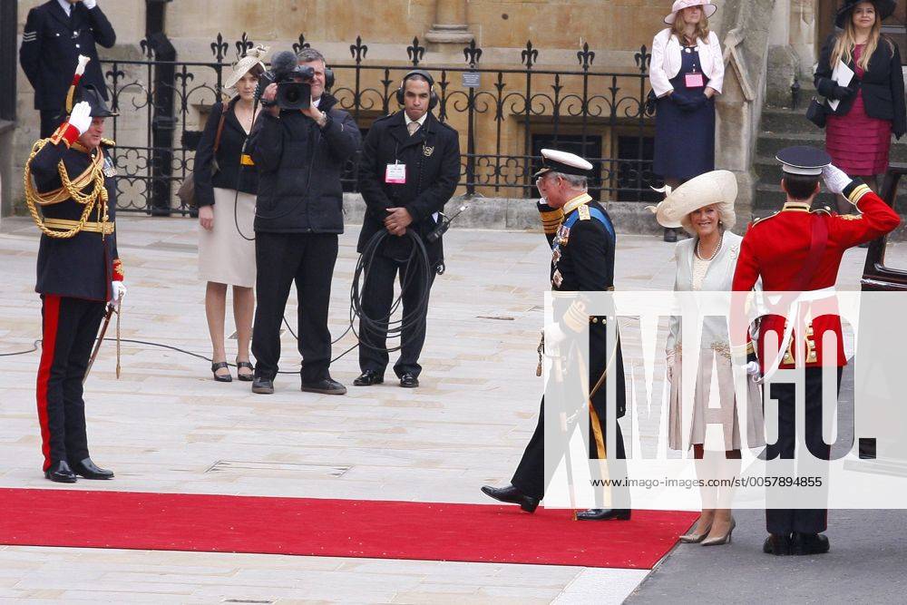 Gcvo Robe Camilla Mountbatten-Windsor Lg Gcvo – GOHA