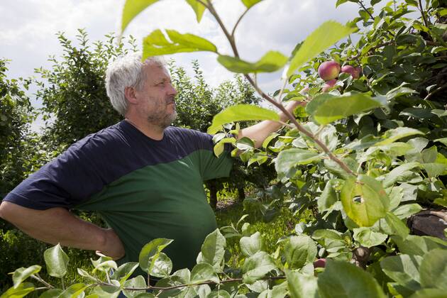 Obstbauer Thomas Bröcker (55 Jahre, Diplom-Gartenbauingenieur ...