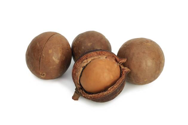Macadamia, Macadamianuss, Macadamia-Nuss, Queenslandnuss, Queensland ...