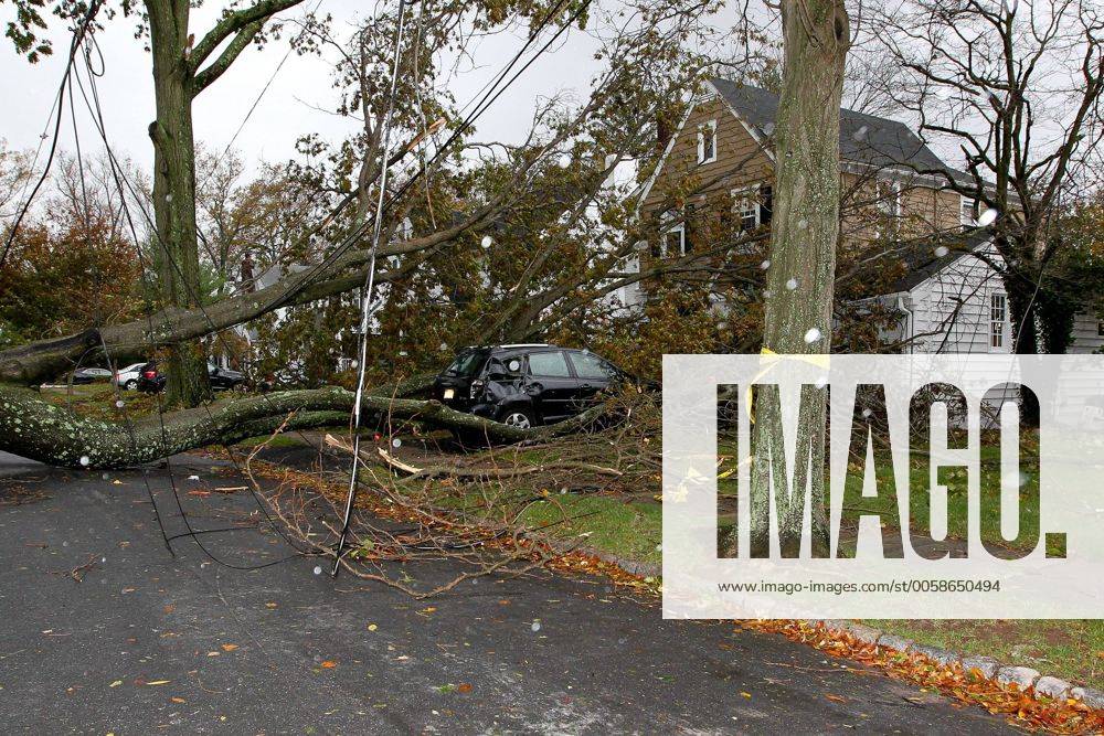 30 October 2012 Hurricane Sandy, Storm Damage Millburn, NJ Trees and