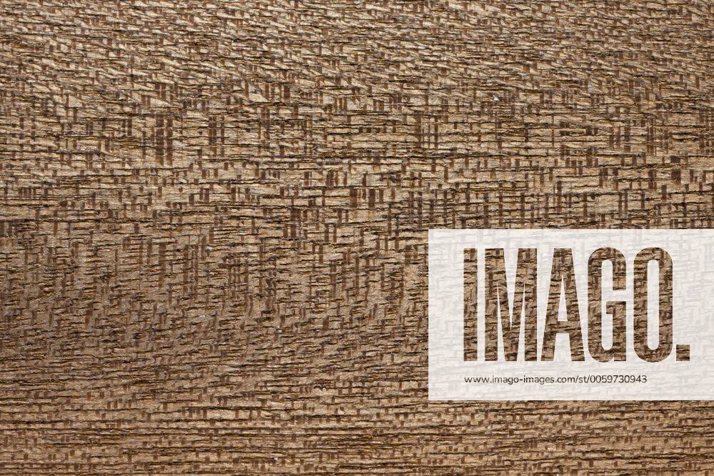 Wood grain of Dibetou wood (Lovoa trichiliodes) Y