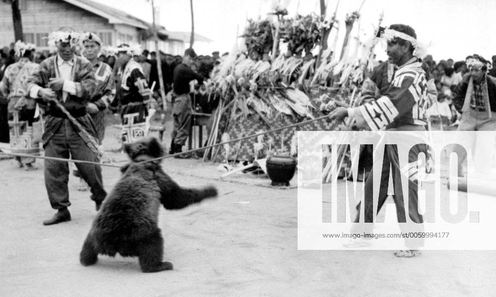 The bear festival of the Ainu people on Hokkaido, Japan s