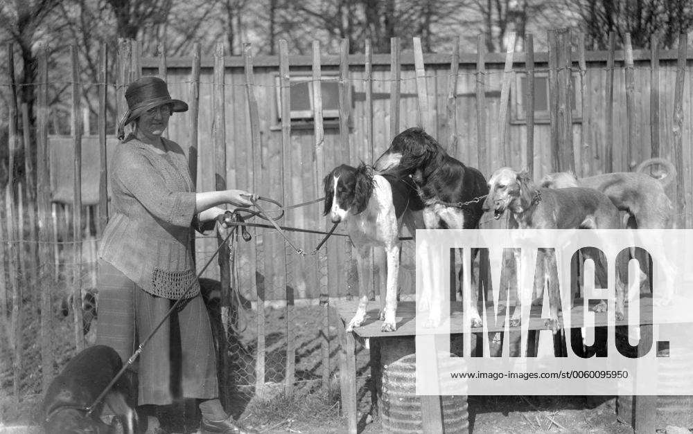 Mrs Lance, Wife of Brigadier General Lance and some of their Saluki or ...