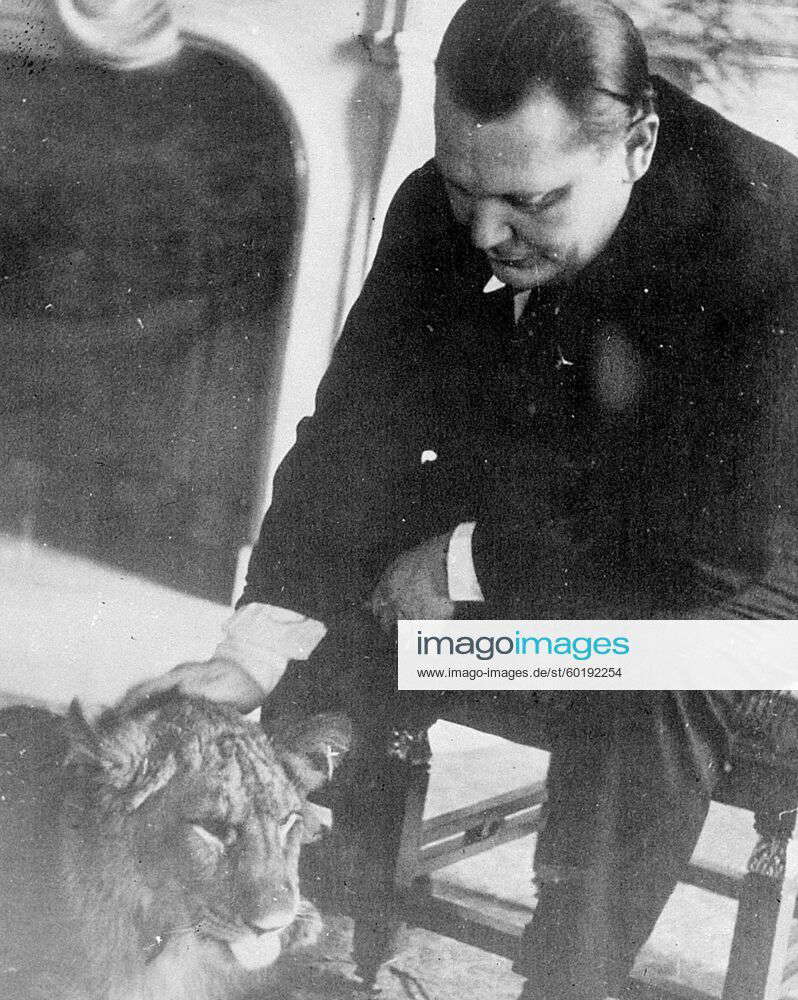 Hermann Goering Lion