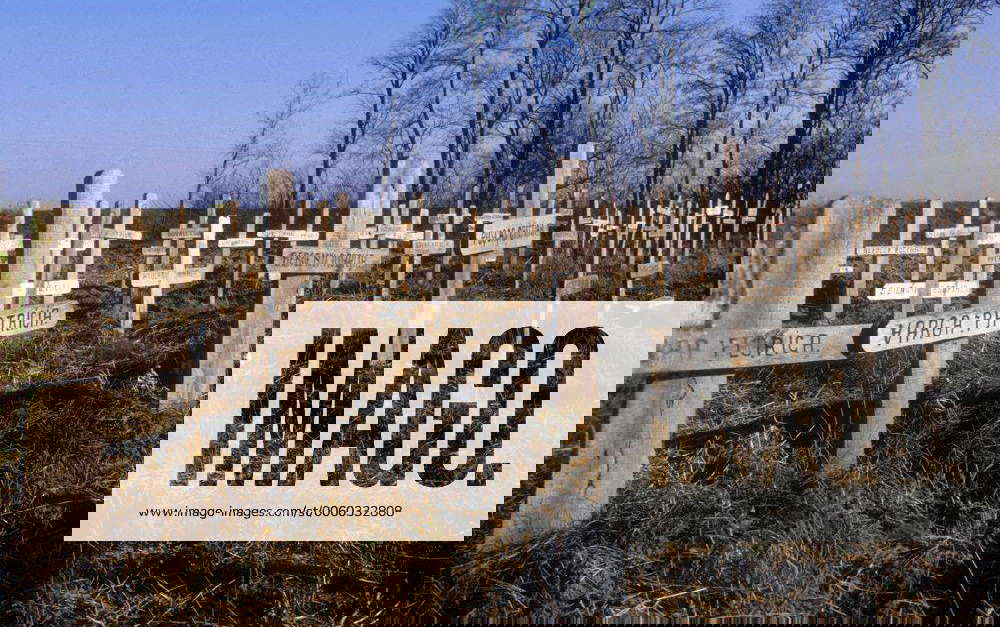 arbeit für geistig behinderte menschen