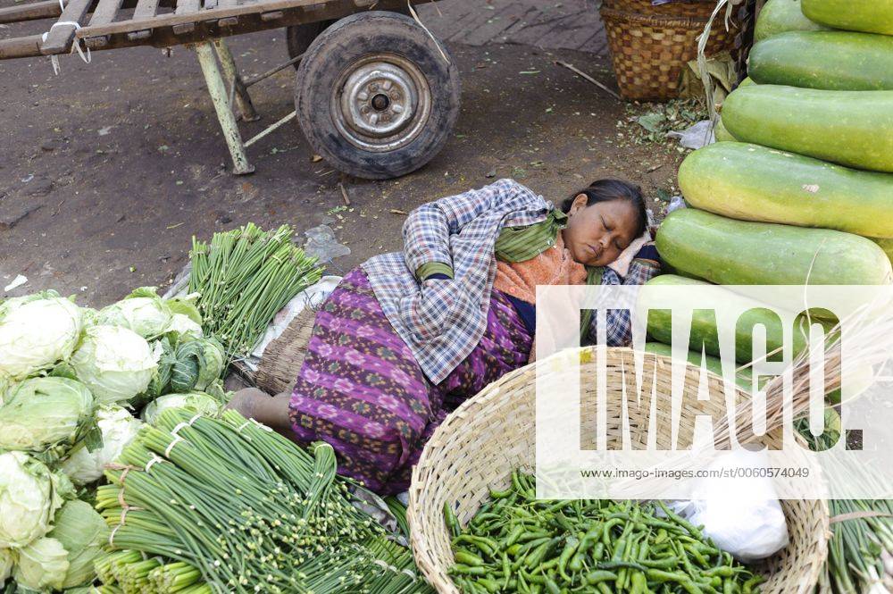 Eine Burmesin schäft zwischen Kohlköpfen, Lauch, Paprika und Kürbissen
