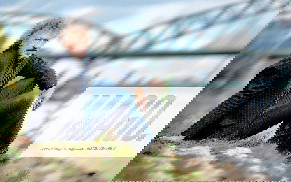 Wolfgang Niedecken, Musiker, Künstler und Sänger der Kölner Gruppe BAP ...