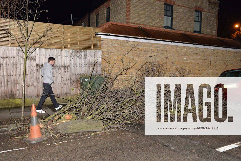 A fierce thunderstorm hits London and knocks down a tree on Effra Road, Wimbledon after strong