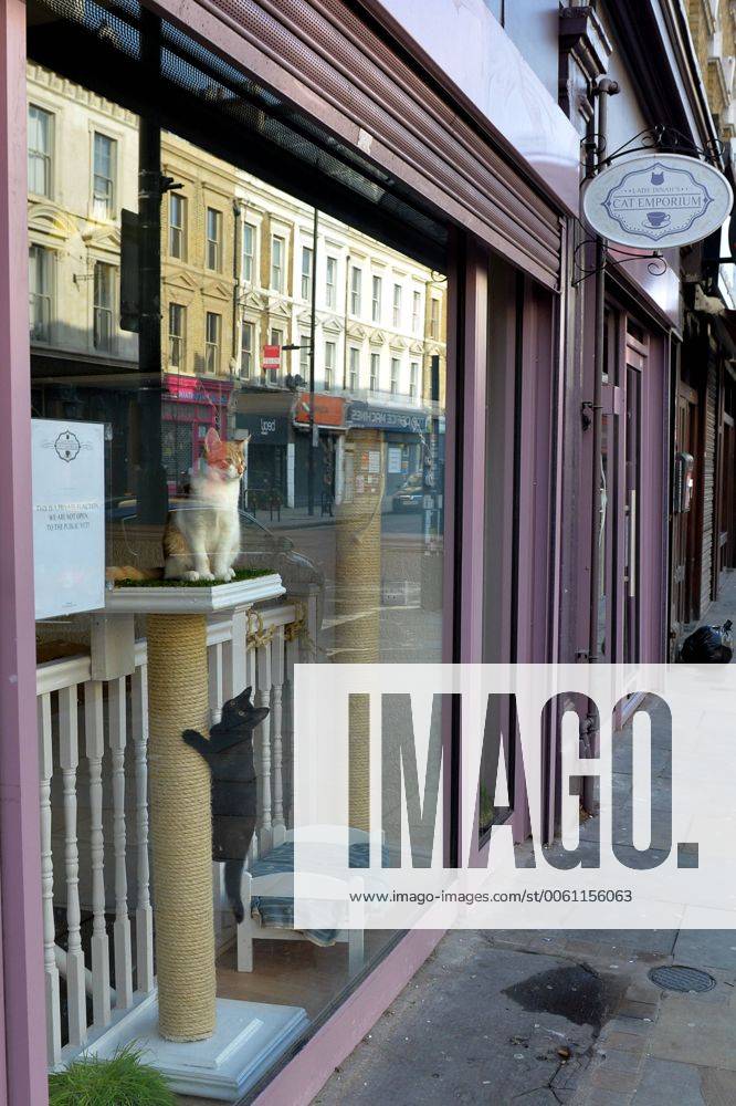 Lady Dinah s Cat Emporium on Bethnal Green Road, Shoreditch, London