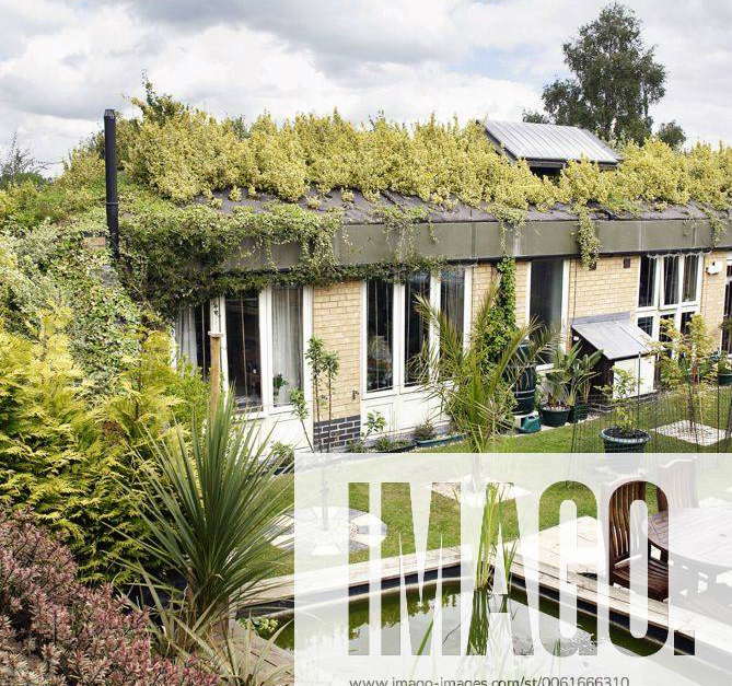 Honingham Earth Sheltered Social Housing Scheme which comprises of four bungalows covered in a