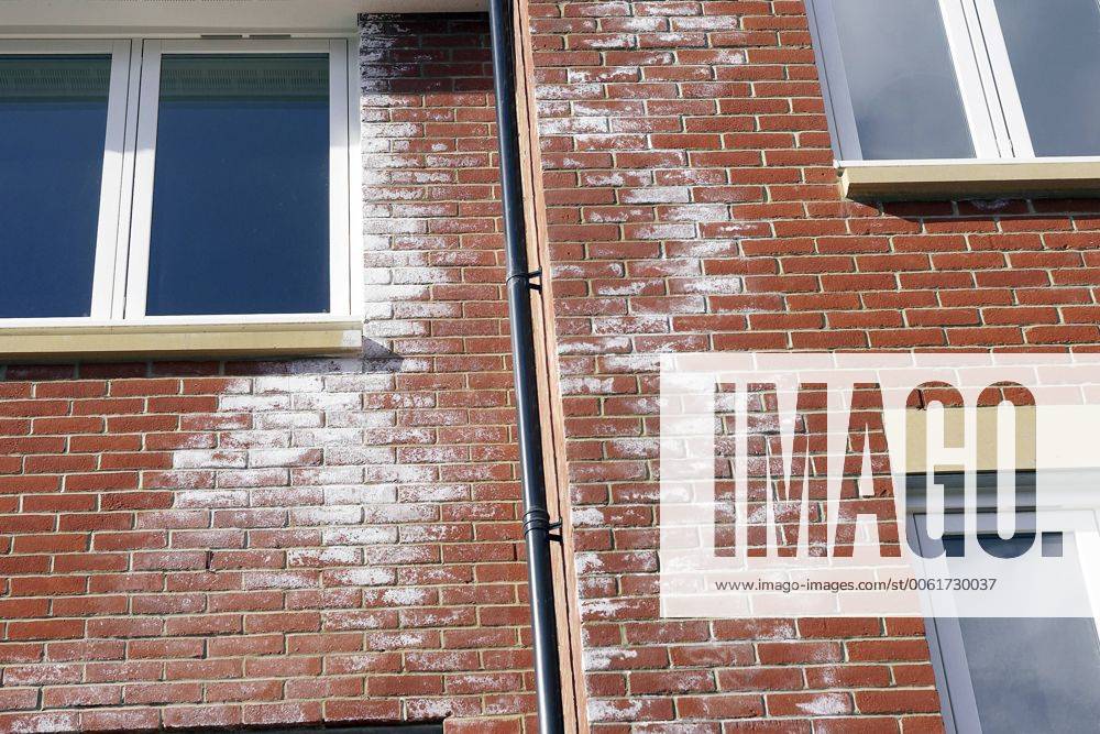 A white powdery deposit, called efflorescence is common on new brick walls. It is caused by salts