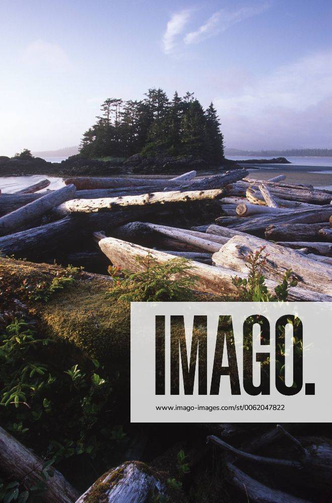 Vargas Island, Clayoquot Sound, Vancouver Island, British Columbia ...