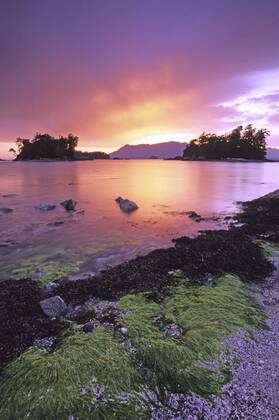 Willis Island sunset, Broken Group Islands, Pacific Rim National Park ...