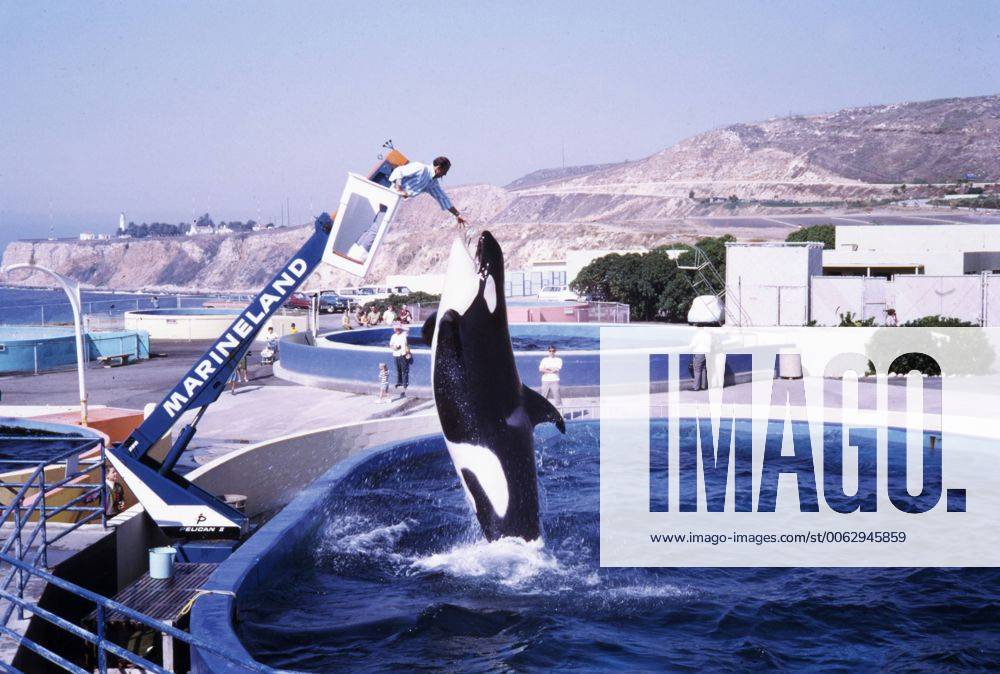 Marineland of the Pacific USA, ca. 1976, Marineland of the Pacific, in Los Angelas, californien