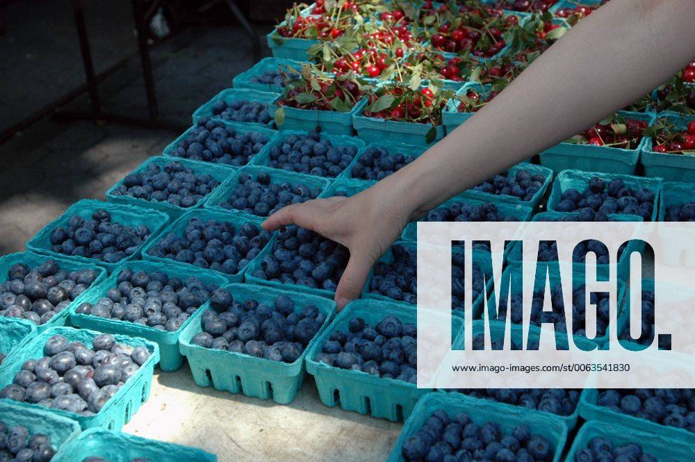 Blueberries lower blood pressure A shopper picks a pint of blueberries
