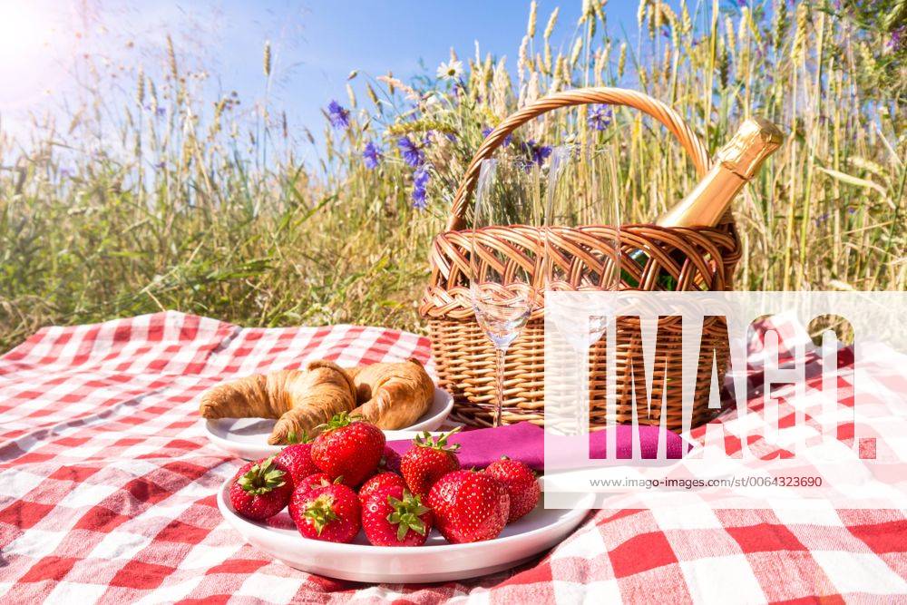 Picnic picnic blanket with champagne, strawberries and croissant